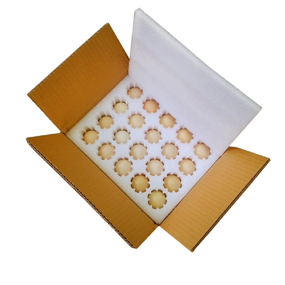 high quality epe foam for sale cut shape quail egg packing box Foam noodles Insert foam pouches Packaging protection for eggs