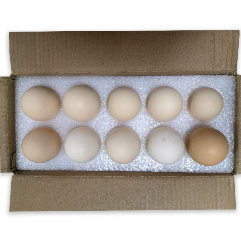 Food Contact Grade White Expanded PE Foam Egg Tray Packaging for 20 Eggs