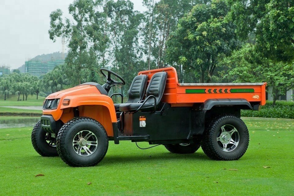 New design CE approved GM5000E utility buggy electric UTV