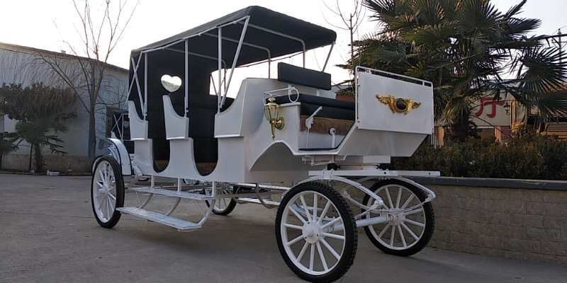 Royal luxury wedding marathon cinderella horse carriages for sale