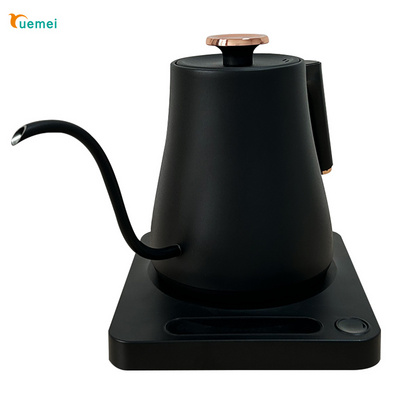 China electric kettle gooseneck spout electric tea kettle electric kettle 360 Degree Rotational New design gooseneck