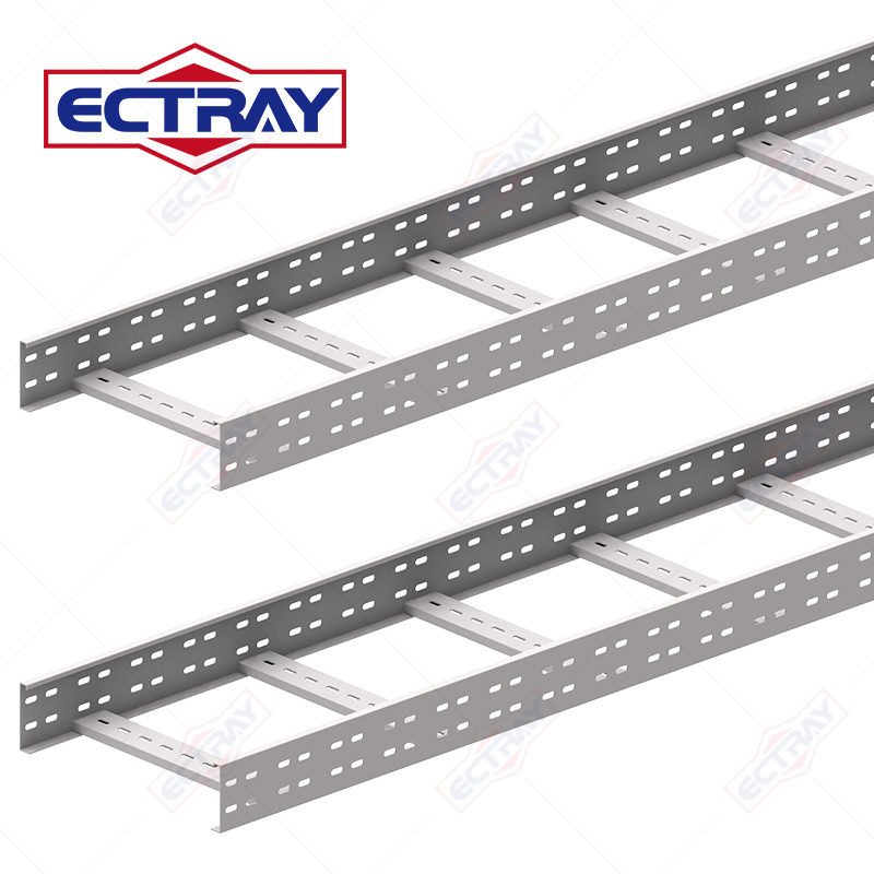 Heavy Duty Cable Ladder Hot Dipped Galvanized Anti-corrosion And Long Life OEM ODM Supplier Ladder Type Cable Tray