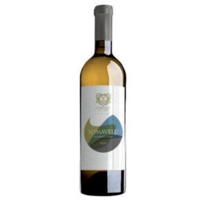 Wine Somavelu Aromatic Soft Table italian Wine fresh soft and well-structured taste