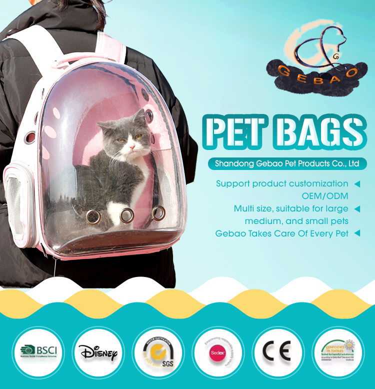 Wholesale Custom Pet Cat Carrier Transparent Space Capsule Pet Backpack