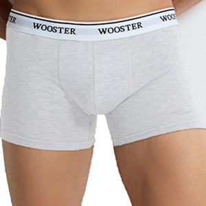 Cotton breathable men's underpant men's briefs boxers boy underwear wooster-071