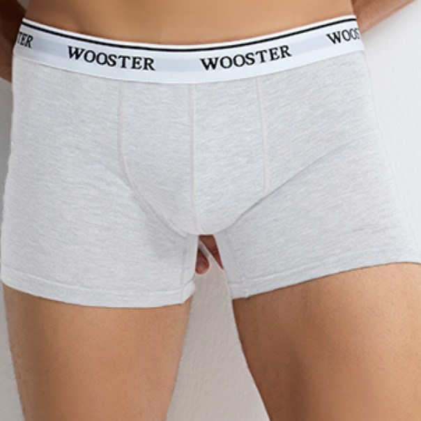 Cotton breathable men's underpant men's briefs boxers boy underwear wooster-071