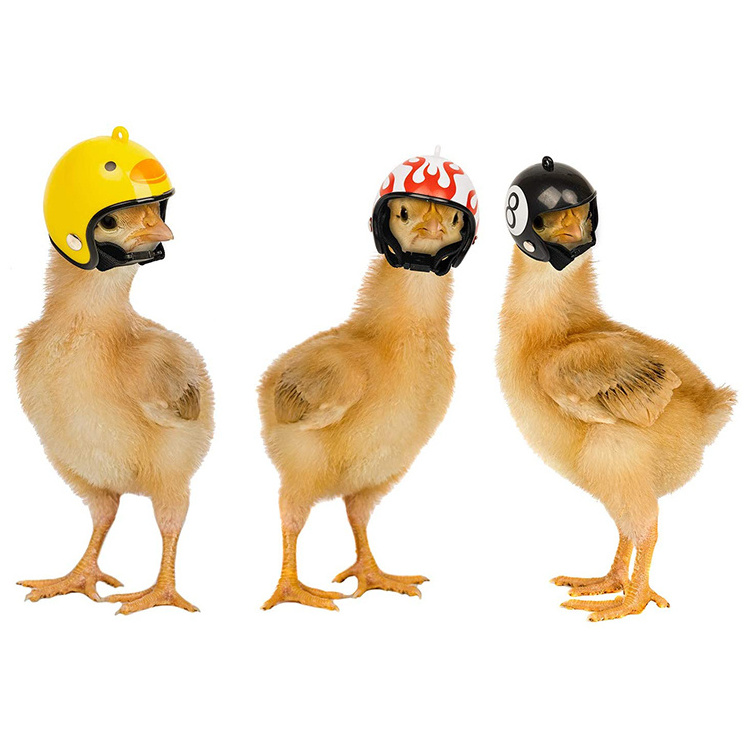 Chicken Pet Protective Gear Sun Rain Protection Helmet Toy Bird Hens Small Pet Supplies Costumes Accessories