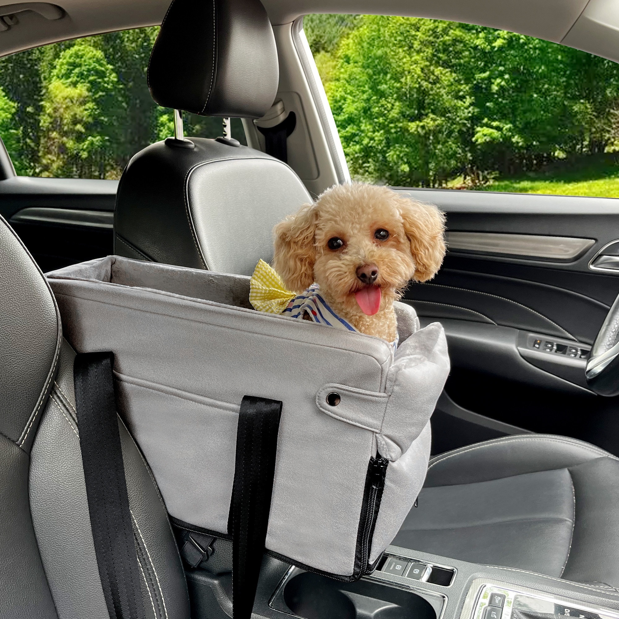 Geerduo Washable Easy Cleaning Leathaire Material Pet Car Seat Center Console Booster for Outgoing Travelling