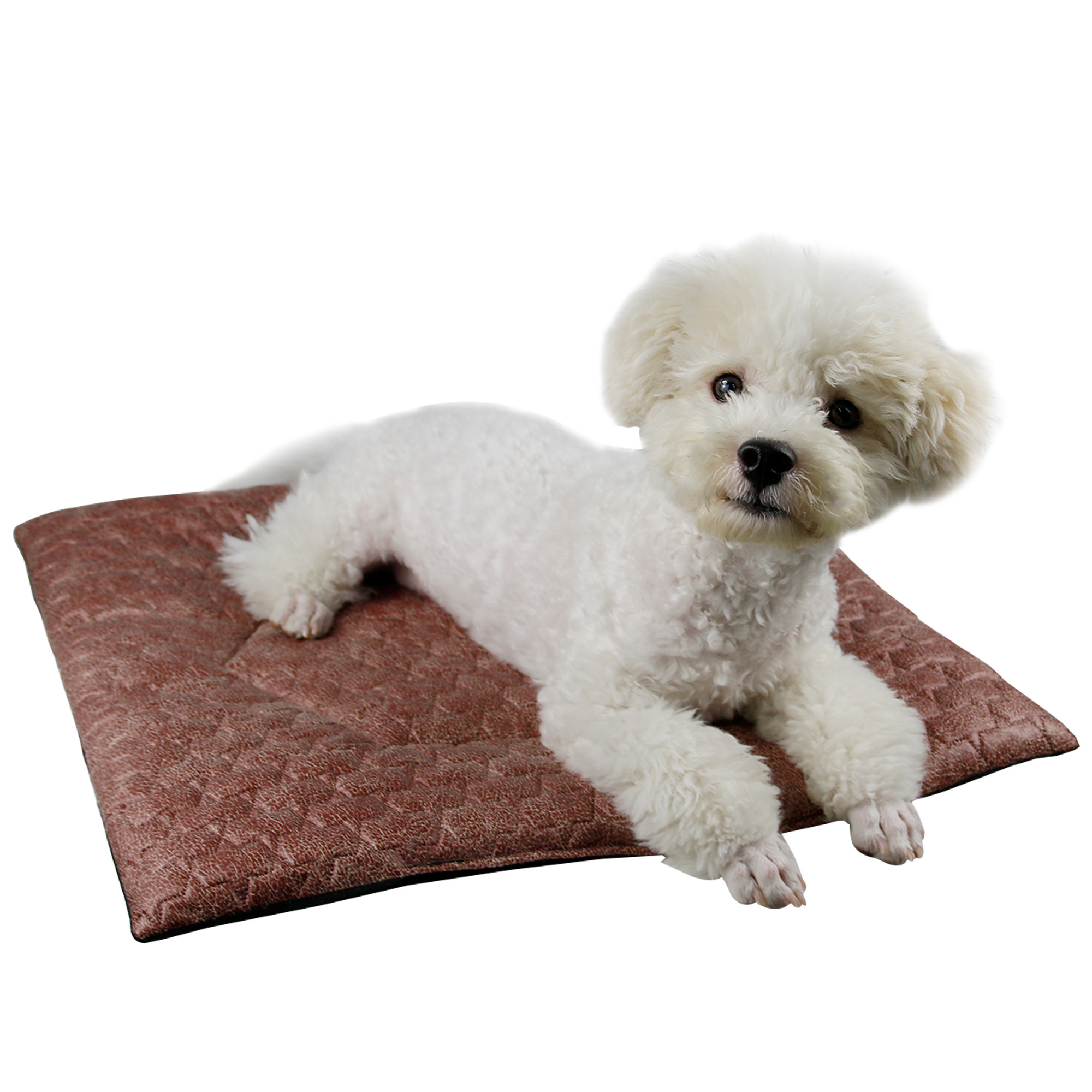 Soft Anti-Sliding Washable Breathable Summer Cooling Sleeping Pet Cat Dog Pad Mat Bed for Small Medium Large Dogs Cats