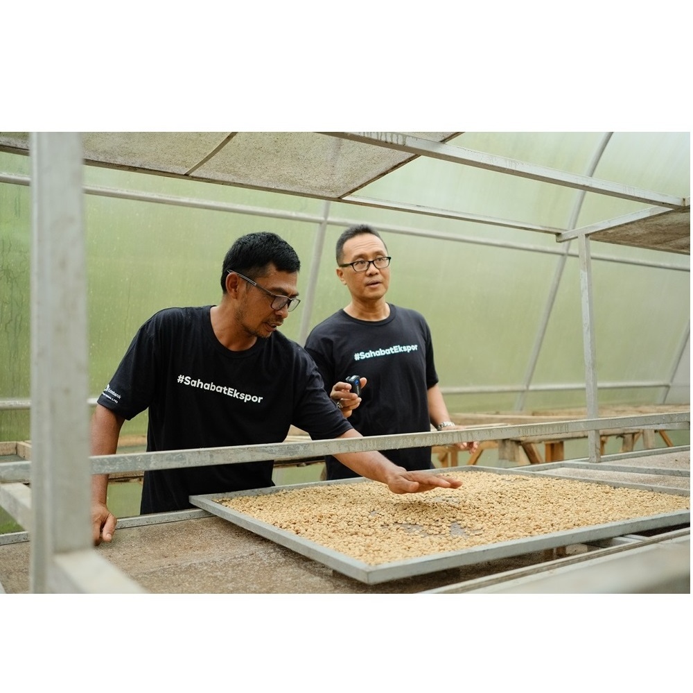 Wholesale Price Fermented Natural Best Quality Green Coffee Beans With 10-12% Max Moisture Plantation in Bali Mountain Bedugul