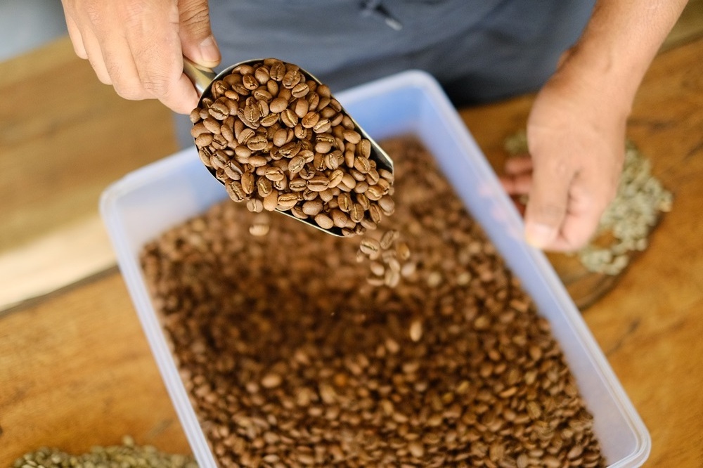 Fermented Natural Best Quality Green Coffee Beans With 10-12% Max Moisture Plantation in Bali Mountain Bedugul