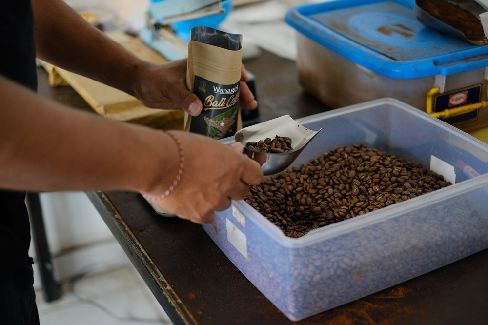 Wholesale Price Fermented Natural Best Quality Green Coffee Beans With 10-12% Max Moisture Plantation in Bali Mountain Bedugul