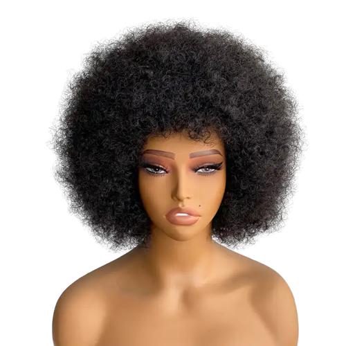 Mongolian Afro kinky Curly Wigs Brazilian Human Hair Short Wigs Vendor Transparent HD Swiss Lace Frontal Wigs for Black Women