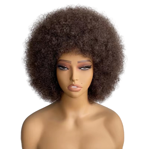 Mongolian Afro kinky Curly Wigs Brazilian Human Hair Short Wigs Vendor Transparent HD Swiss Lace Frontal Wigs for Black Women