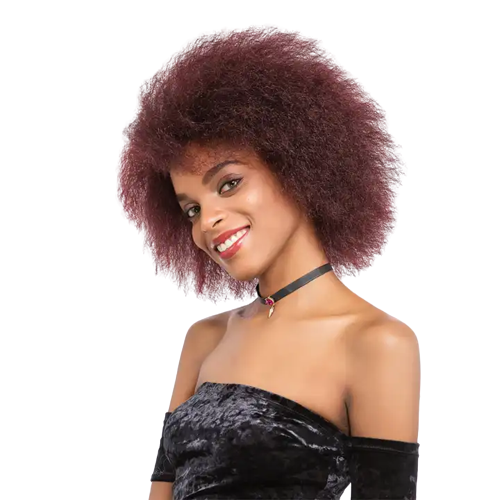 Mongolian Afro kinky Curly Wigs Brazilian Human Hair Short Wigs Vendor Transparent HD Swiss Lace Frontal Wigs for Black Women