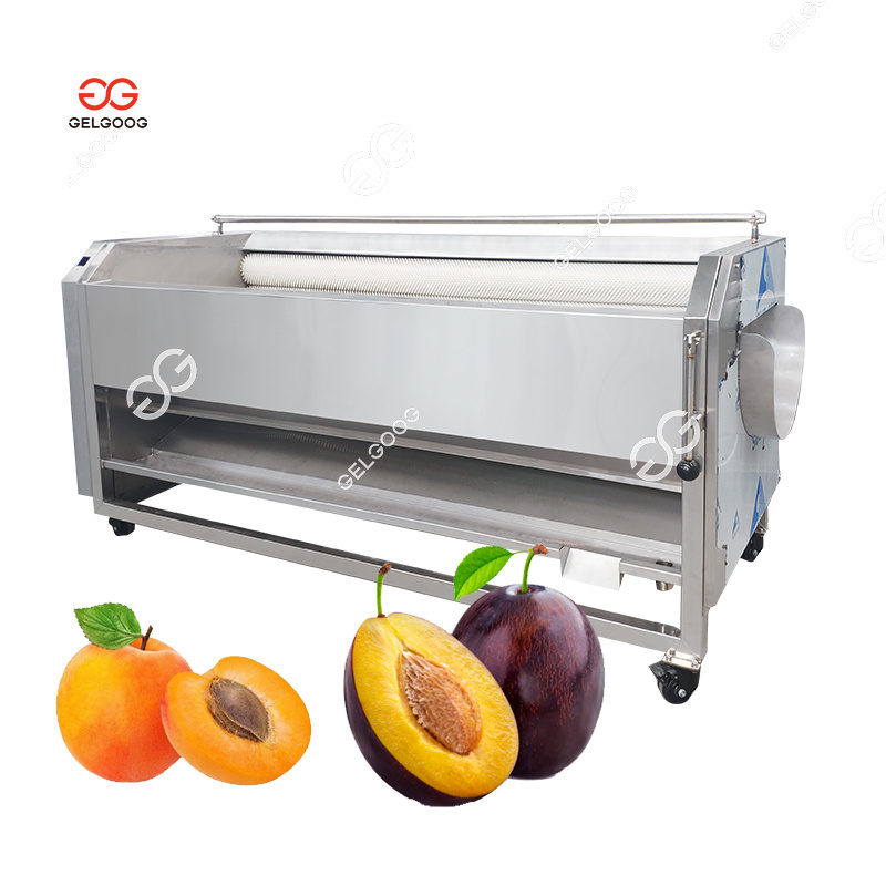 Automatic Fish Garlic Apricot Prune Peach Kiwi Equipment To Washing Sorting Fruit Flat Brush Potato Cleaning Machine