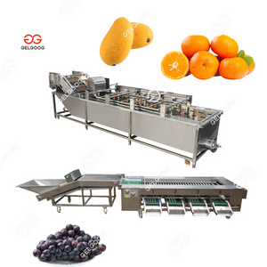 Automatic Orange Polishing Sorting Mango Citrus Grape Seed Cleaning Machine and Packing Cleaning Machine for Fruit