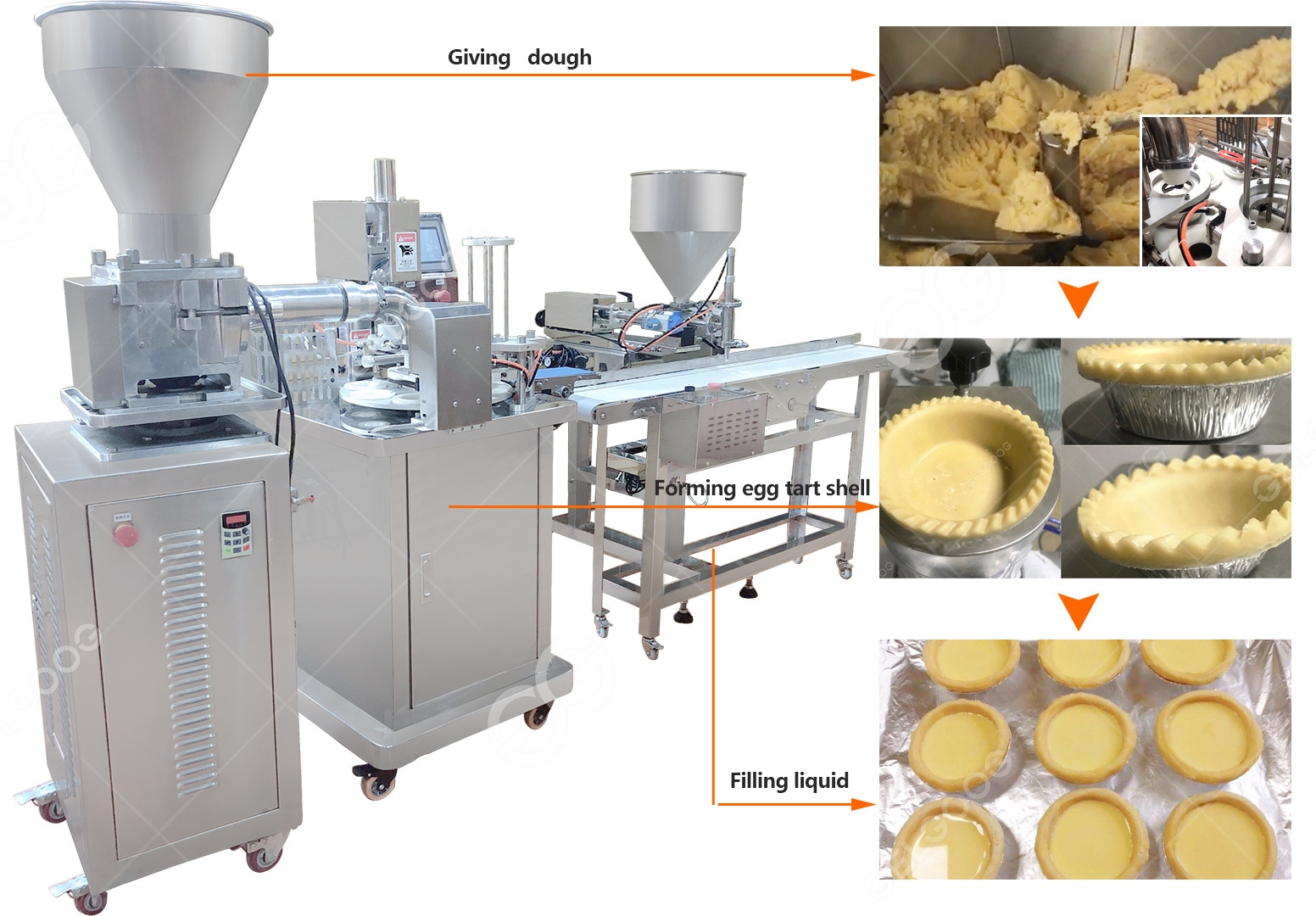 1500 pcs/h Professional Pie Tart Making Waffle Egg Tart Shell Maker Machine