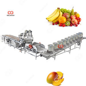 Automatic Bubble Fruit Mango Vegetable Potato Washing Dry Machine Mango Washing and Waxing Machine