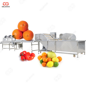 Automatic Fruit Vegetable Oyster Washer Sea Cucumber Clam Washing Equipment Seaweed Shrimp Fish Cleaning Machines