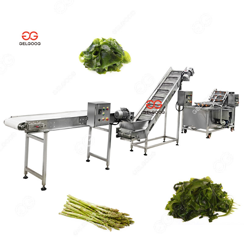 Automatic Radish Peeled Garlic Air Bubble Cleaning Slicer And Drying Machine Turmeric Tomato Brushing Washing Machine