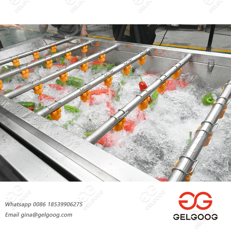 Automatic Fruit Vegetable Oyster Washer Sea Cucumber Clam Washing Equipment Seaweed Shrimp Fish Cleaning Machines