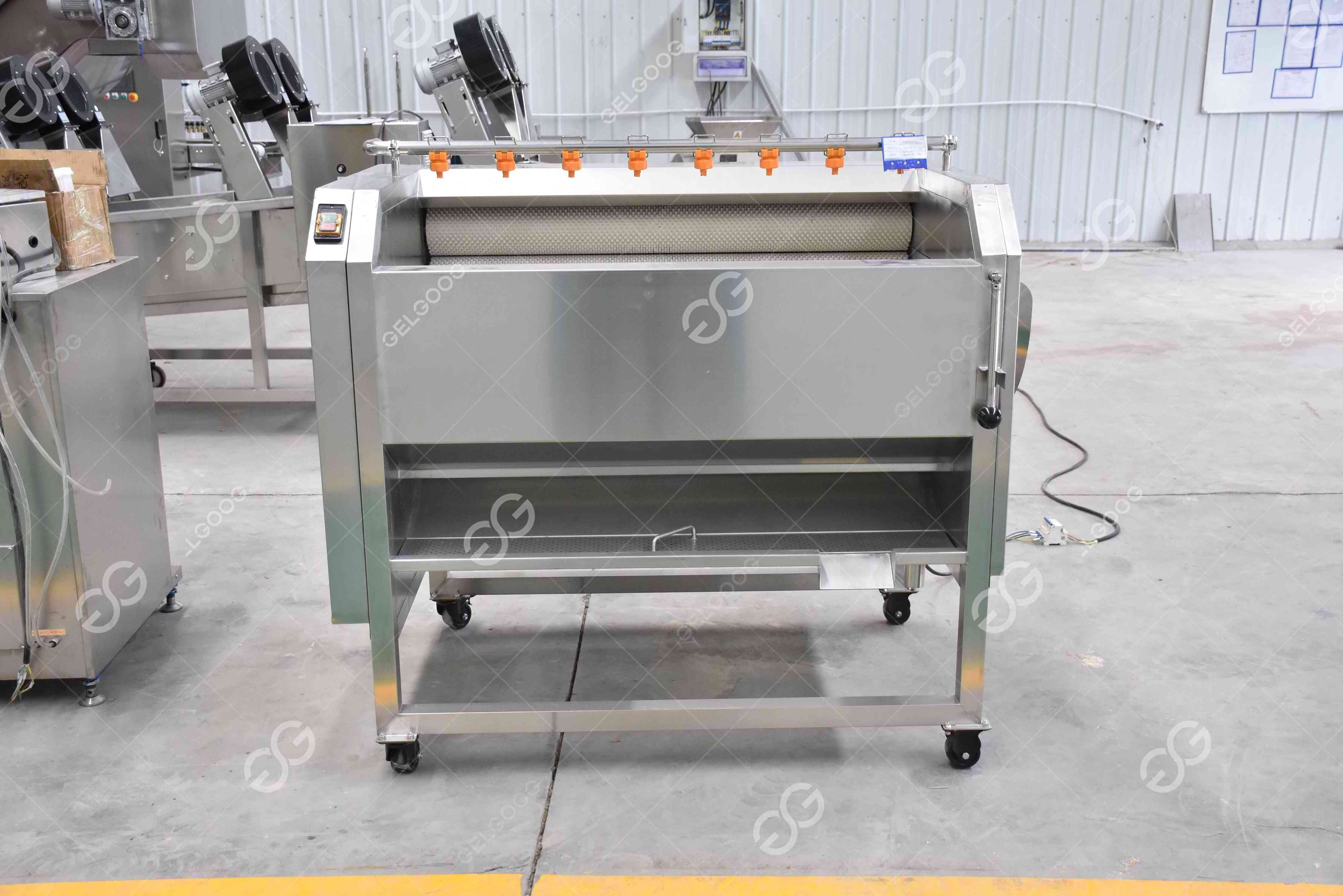 Automatic Fish Garlic Apricot Prune Peach Kiwi Equipment To Washing Sorting Fruit Flat Brush Potato Cleaning Machine