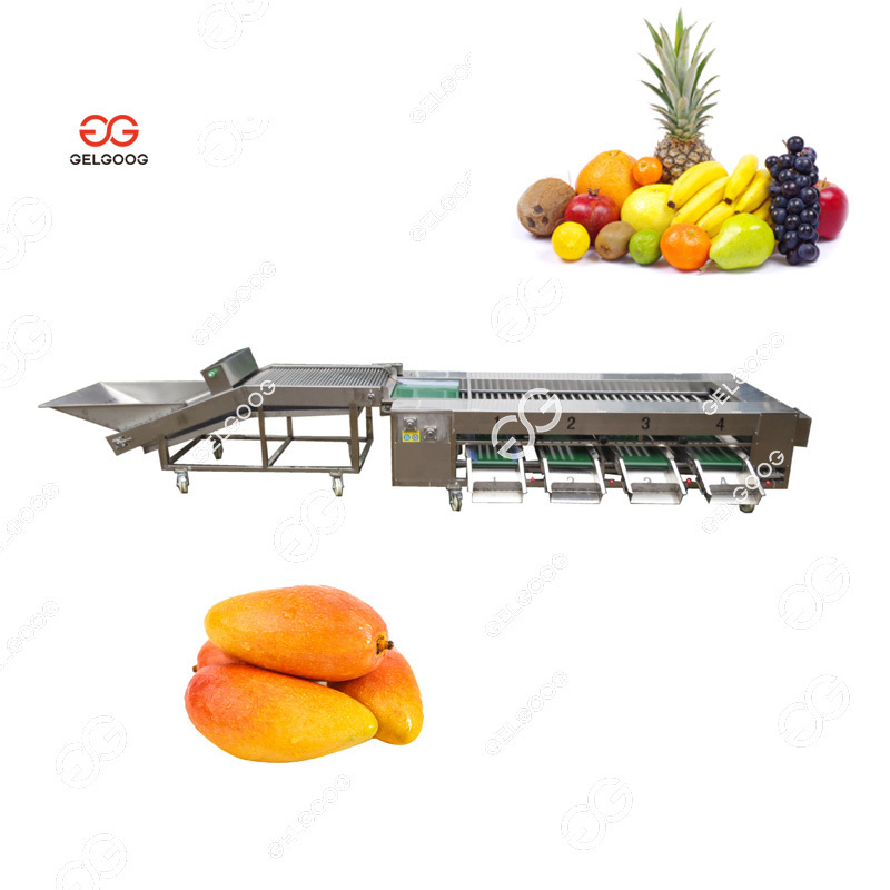 3T/H Bubble Fruit Washer Grading Line Orange Wash Dryer Cleaning And Sorting Apple Cleaner Drying Waxing Mango Washing Machine