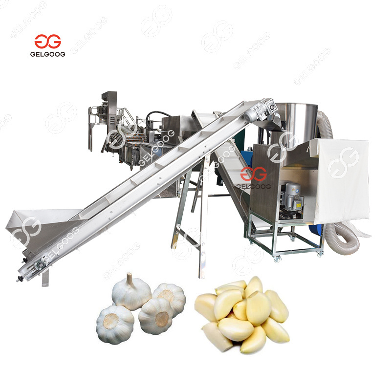 Gelgoog Electric Garlic Peeler For Sale Continuous Garlic Peeling Machine Pdf Line Output Garlic Peeling Machine Cost