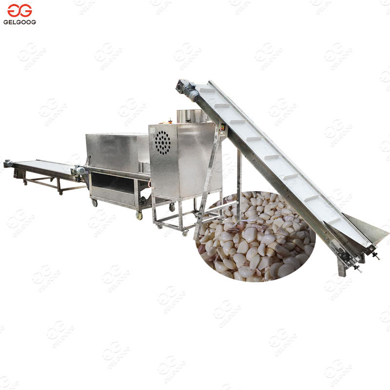 Gelgoog Industrial Garlic Skin Removing Peeling Machine Garlic Peeling And Drying Production Line