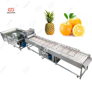 Ultrasonic Vegetable Washer And Dryer Oranges Machine Bubble Fruit Washing Machine With Conveyor Line