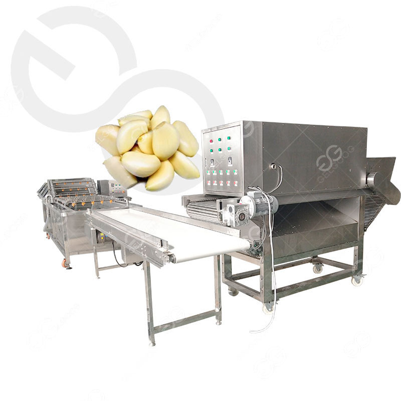 Gelgoog Industrial Garlic Skin Removing Peeling Machine Garlic Peeling And Drying Production Line