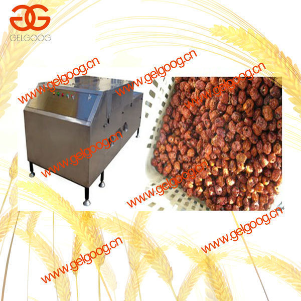 Grape/ Date Seed Removing Machine