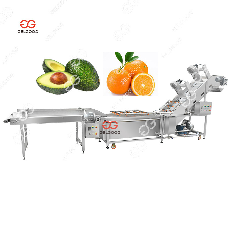 2024 Industry Vegetable Fruit Washing Machine Fruit And Vegetable Clean Machine Sea Cucumber Washing Cleaning Machine