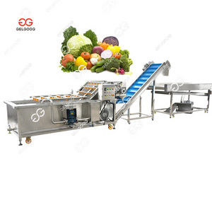 2024 Industry Vegetable Fruit Washing Machine Fruit And Vegetable Clean Machine Sea Cucumber Washing Cleaning Machine