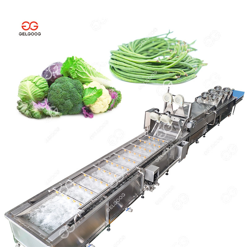 Ultrasonic Vegetable Washer And Dryer Oranges Machine Bubble Fruit Washing Machine With Conveyor Line