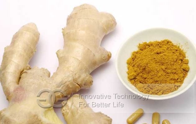 Factory Supply Pickled Ginger Powder Processing Machine Pickled Ginger Making Machine