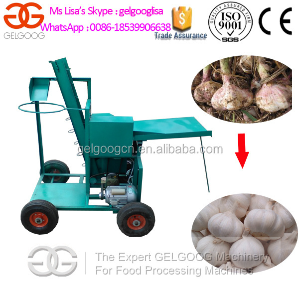 Farmland Garlic Root Cutter/Garlic Head and Hair Cutting Machine/Garlic Stem Cutter Machine