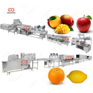 Commercial Citrus Cleaning Machine 1Ton/Hour Wash Citrus Washing Nachine Immersion Washing Machine For Mango 20000 Kg