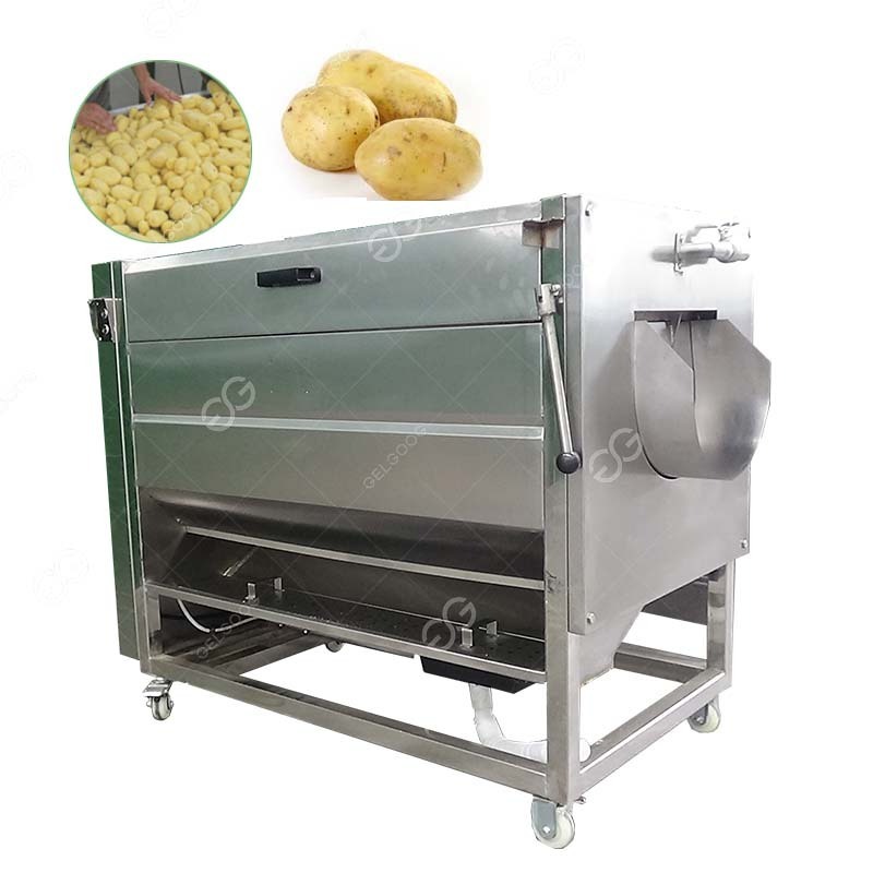 Commercial Eddy Fruit And Vegetable Cleaner Ginger Slicer And Washing Machine Ginger Cleaner Machine