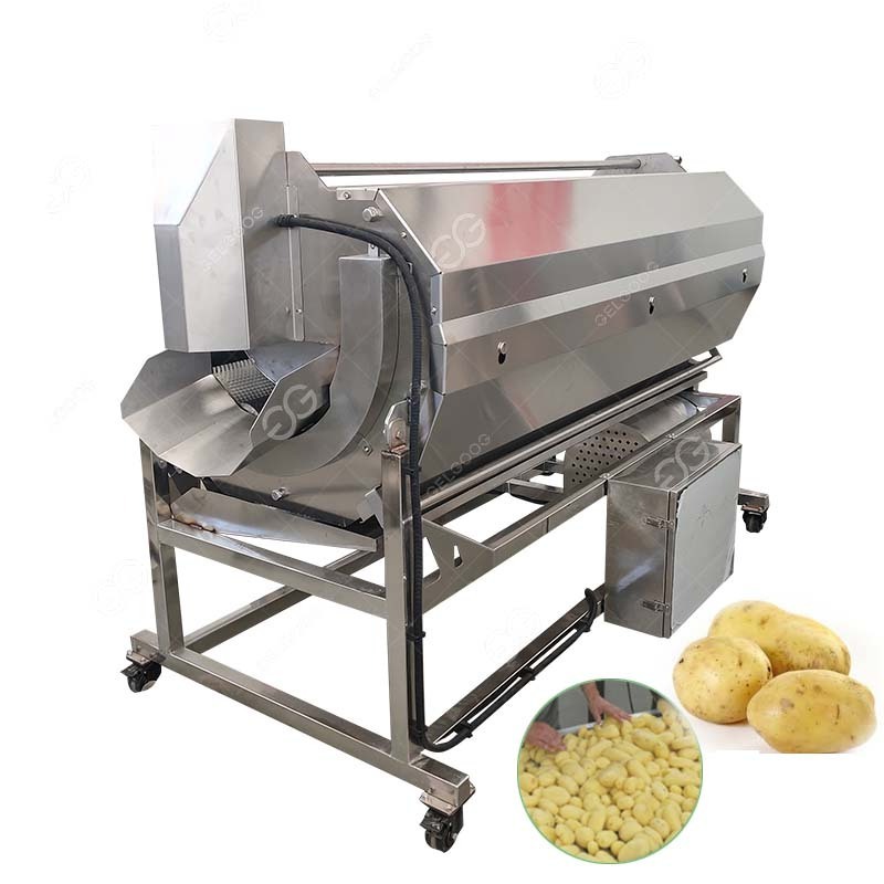 Commercial Eddy Fruit And Vegetable Cleaner Ginger Slicer And Washing Machine Ginger Cleaner Machine