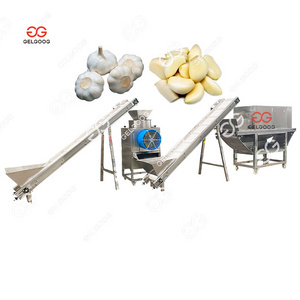 Gelgoog Electric Garlic Peeler For Sale Continuous Garlic Peeling Machine Pdf Line Output Garlic Peeling Machine Cost