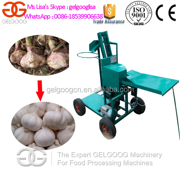 Farmland Garlic Root Cutter/Garlic Head and Hair Cutting Machine/Garlic Stem Cutter Machine