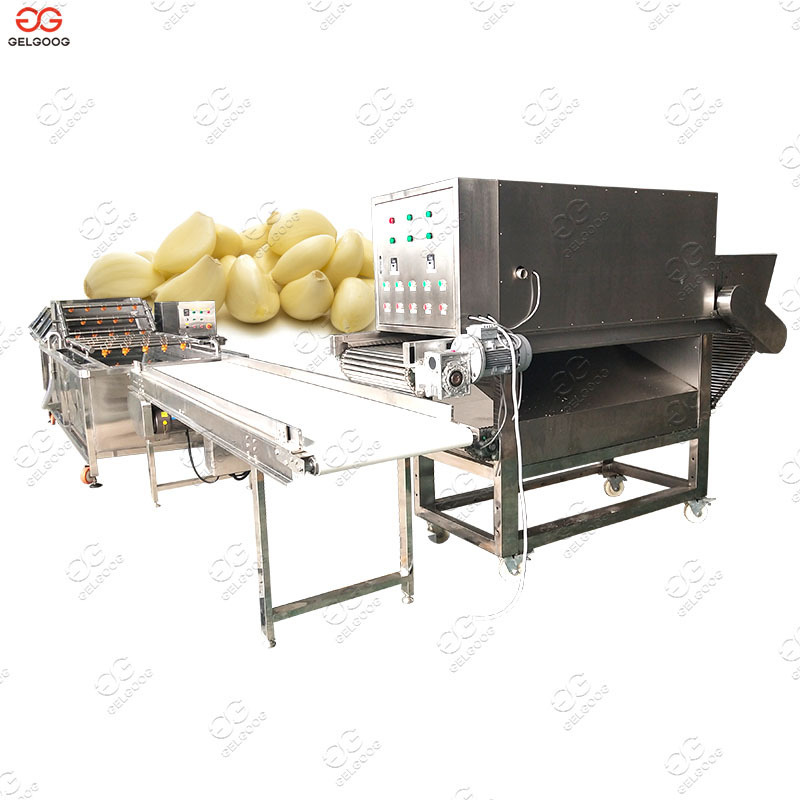 Electric Garlic Clove Peeler Small Dry Garlic Peeling Machine Price