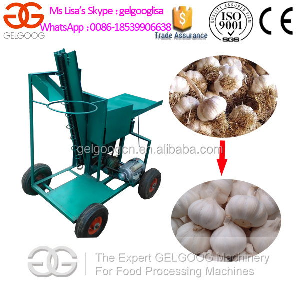 Farmland Garlic Root Cutter/Garlic Head and Hair Cutting Machine/Garlic Stem Cutter Machine