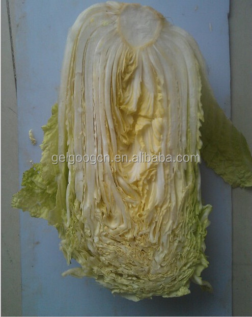 Industrial cabbage slicer machine/cabbage cutting machine/cabbage shredder machine