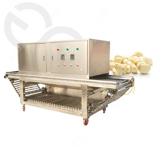 Automatic Garlic Skin Dry Peeling Machinery Garlic Peeler Machine