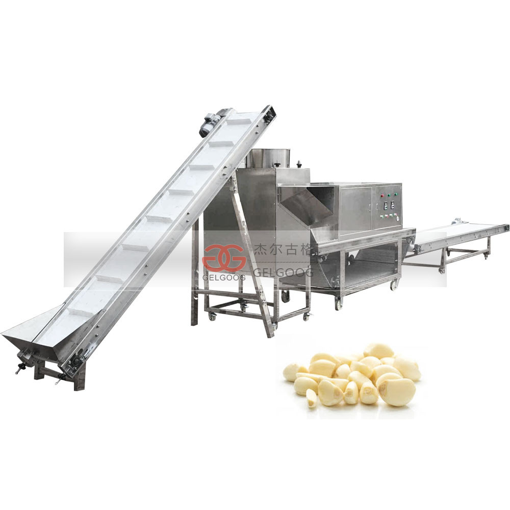 Gelgoog Industrial Garlic Processing Plant Solution  Crusher Separating Peeling Garlic Machine