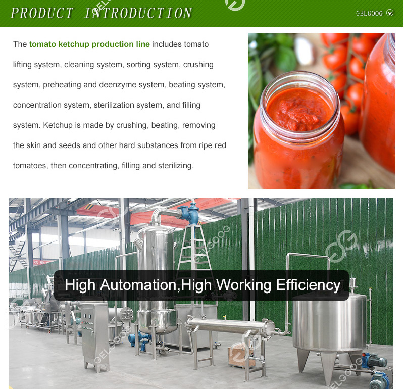 China Automatic Tomato Sauce Making Machine Production Line Tomato Paste Processing Plant