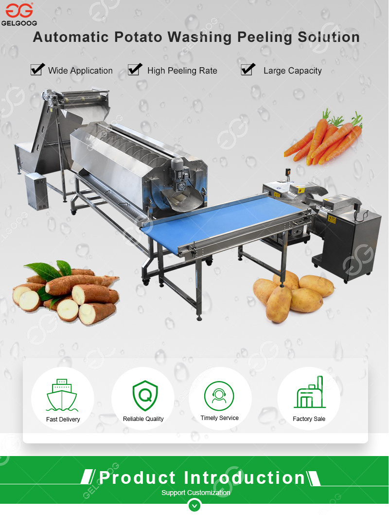 Automatic Small Washing Equipment Fish Cleaning Machine for Cleaning Fish